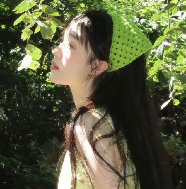 黑鸟